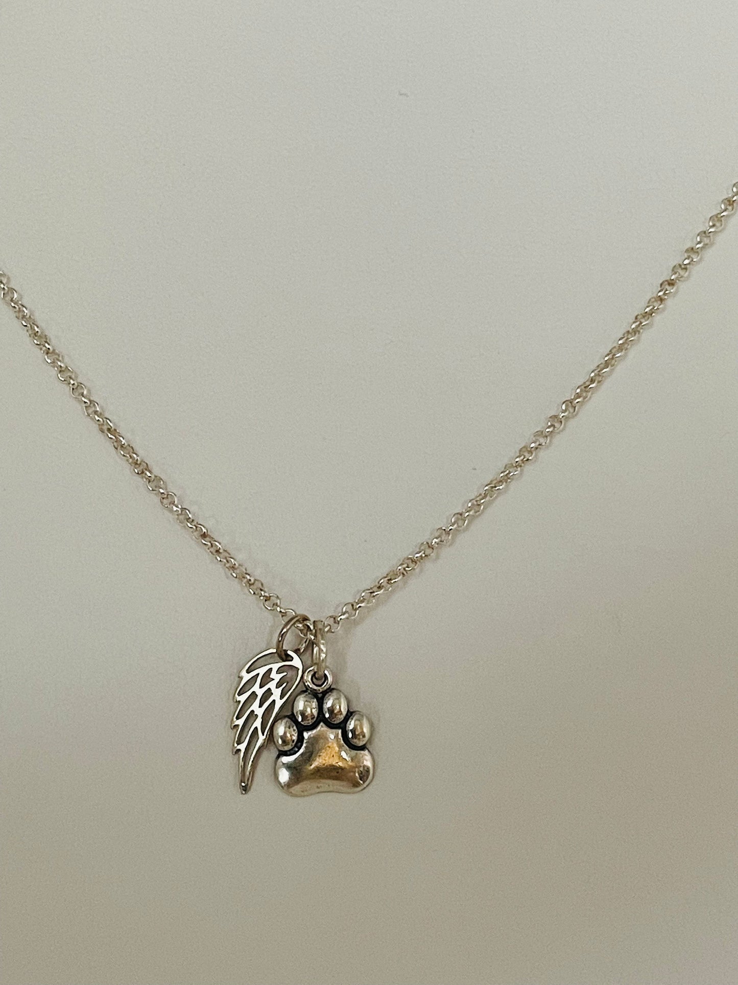 Remembrance Paw Print Pet Memorial Angel Wing Necklace